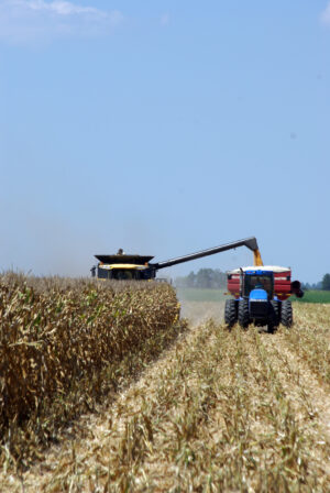 Corn Harvest Scott 08 07 12 005