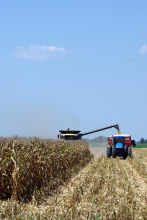 Corn Harvest Scott 08 07 12 006