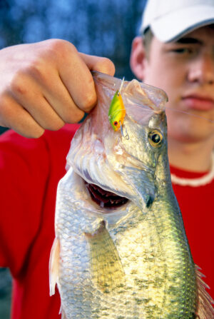 Crappie 036