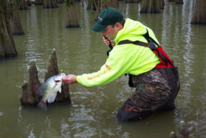 Crappie 041