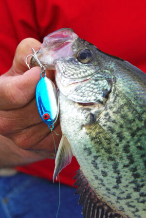 Crappie 060