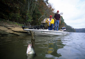 Crappie 064