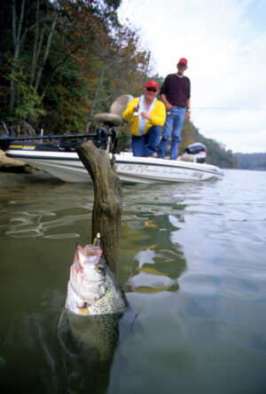 Crappie 065