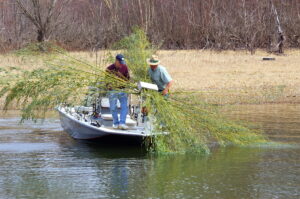 Crappie 071