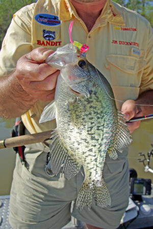 Crappie 132