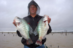 Crappie 166