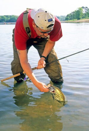 Crappie 174