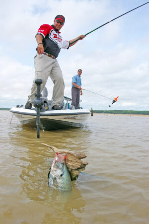 Crappie 191