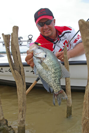 Crappie 194