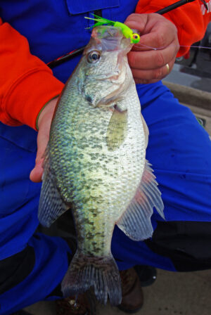 Crappie 204