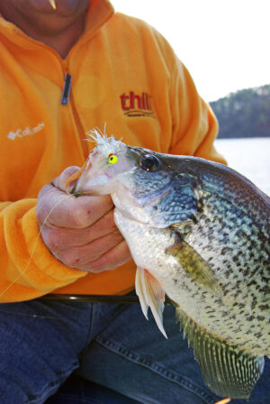 Crappie 211