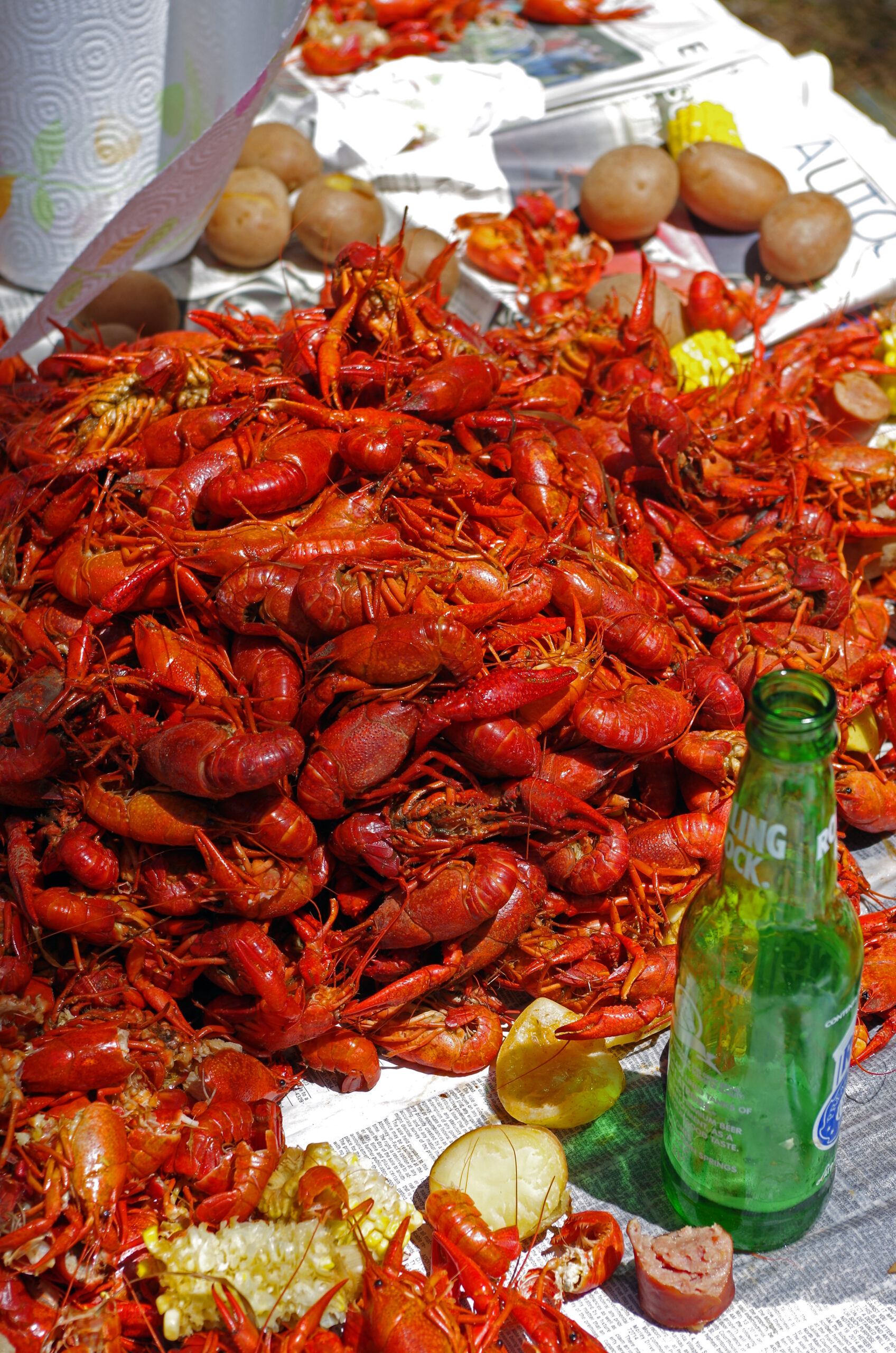 Crawfish Boil 007