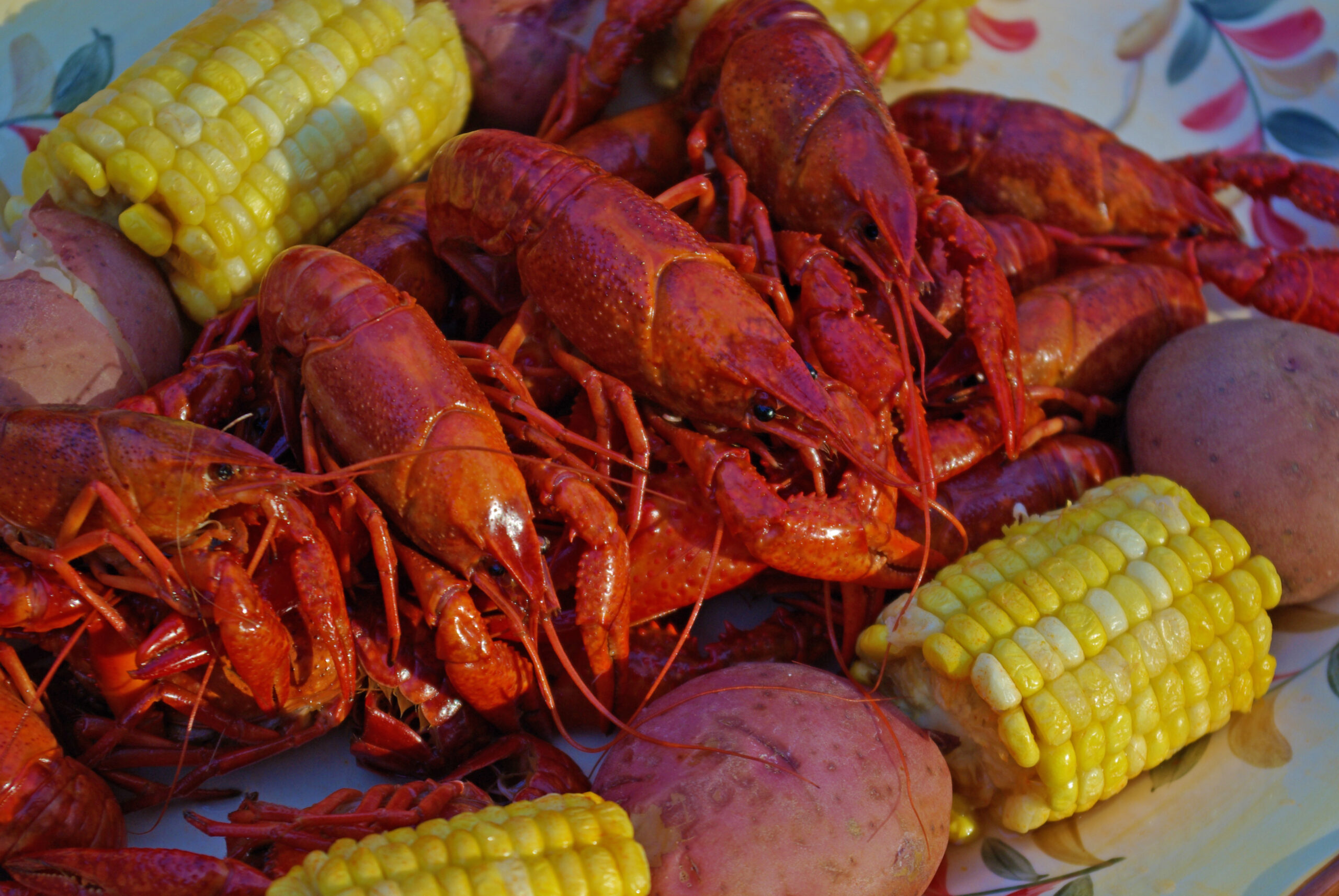 Crawfish Boil 009