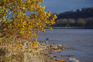 Fishing Scenes 011