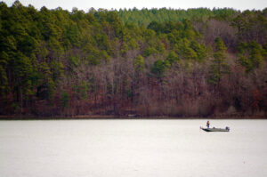 Fishing Scenes 041