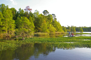 Fishing Scenes 043