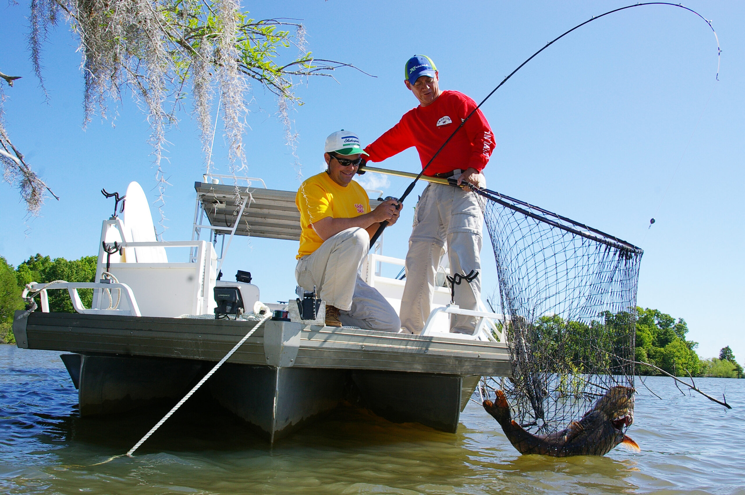 Flathead Catfish 002