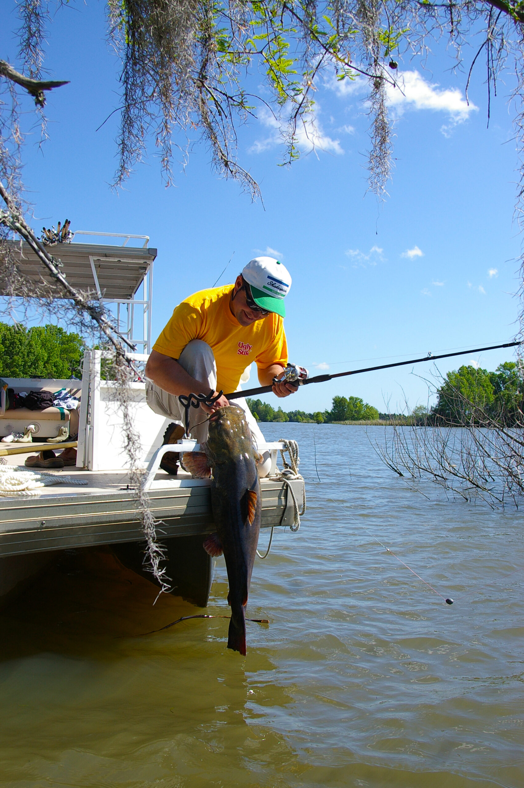 Flathead Catfish 003