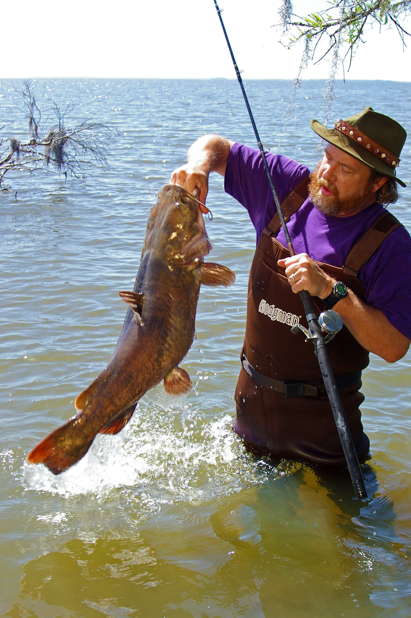 Flathead Catfish 010