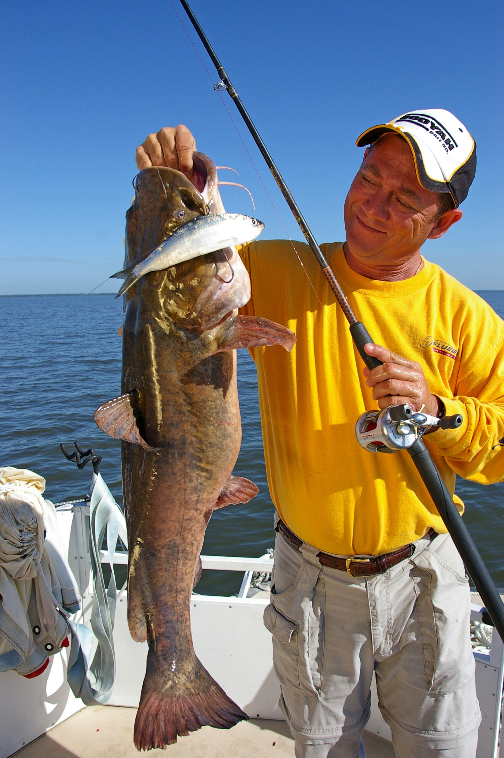 Flathead Catfish 015