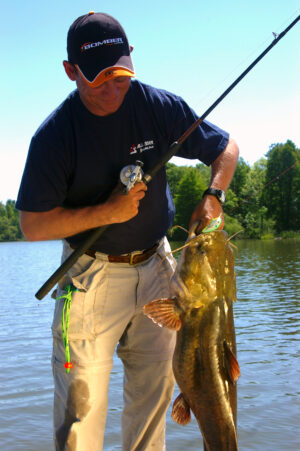 Flathead Catfish 016