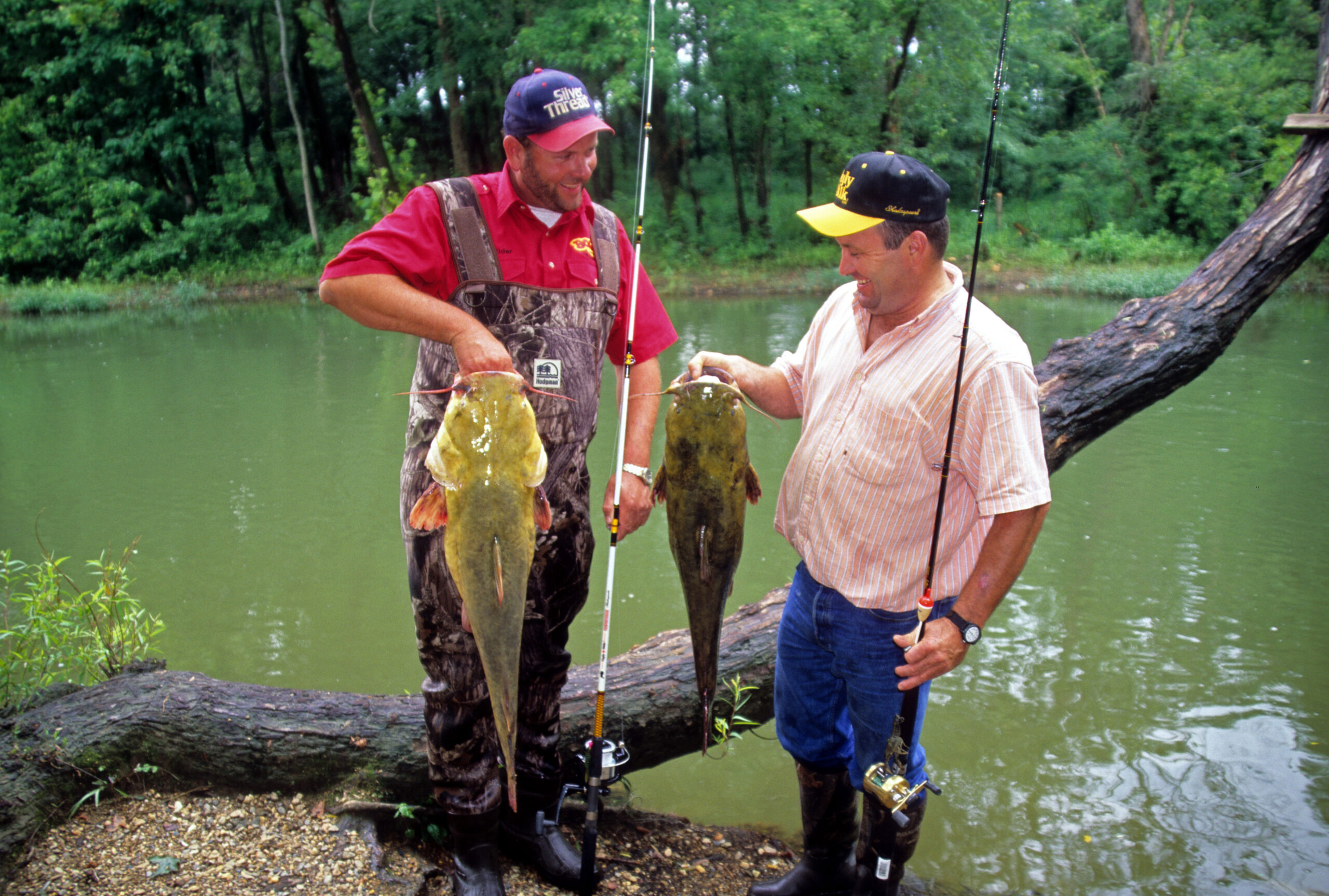 Flathead Catfish 018