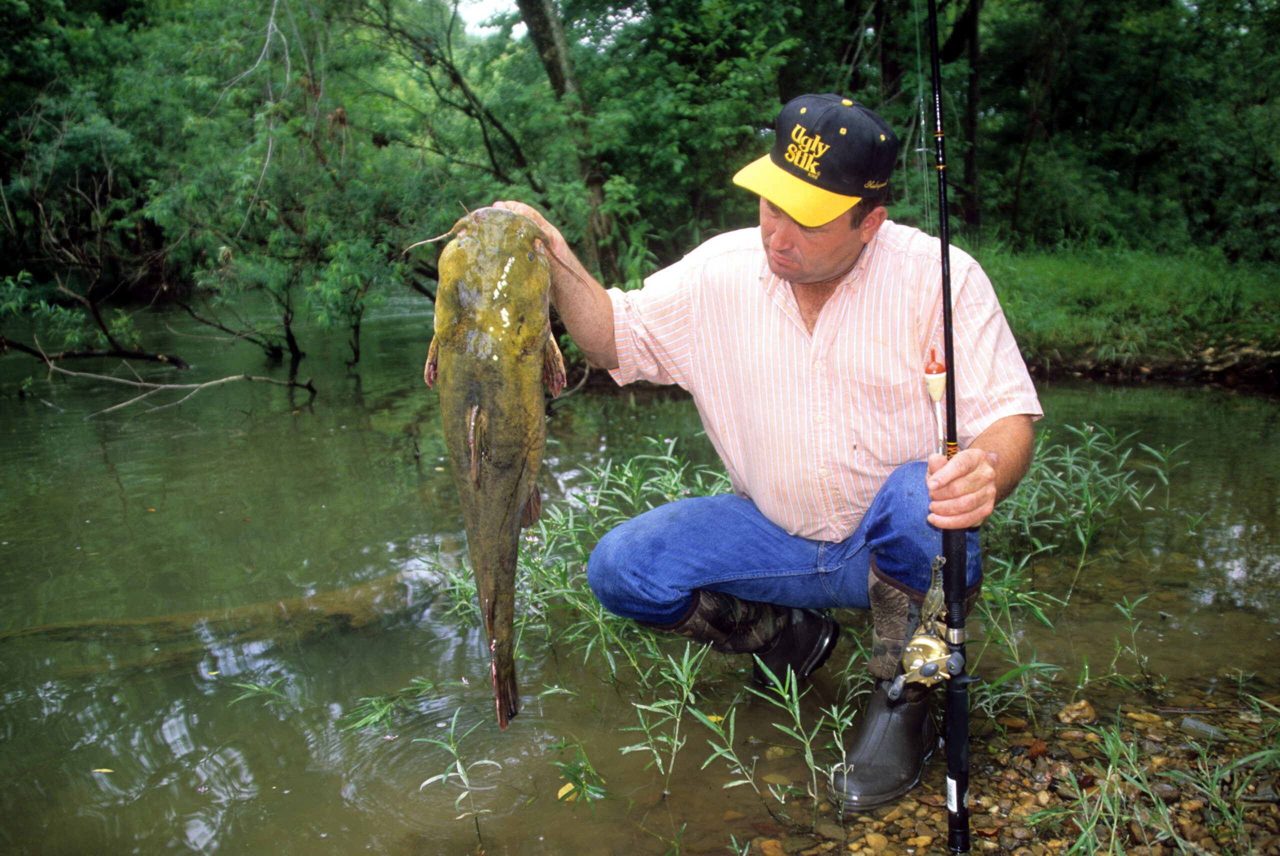 Flathead Catfish 019