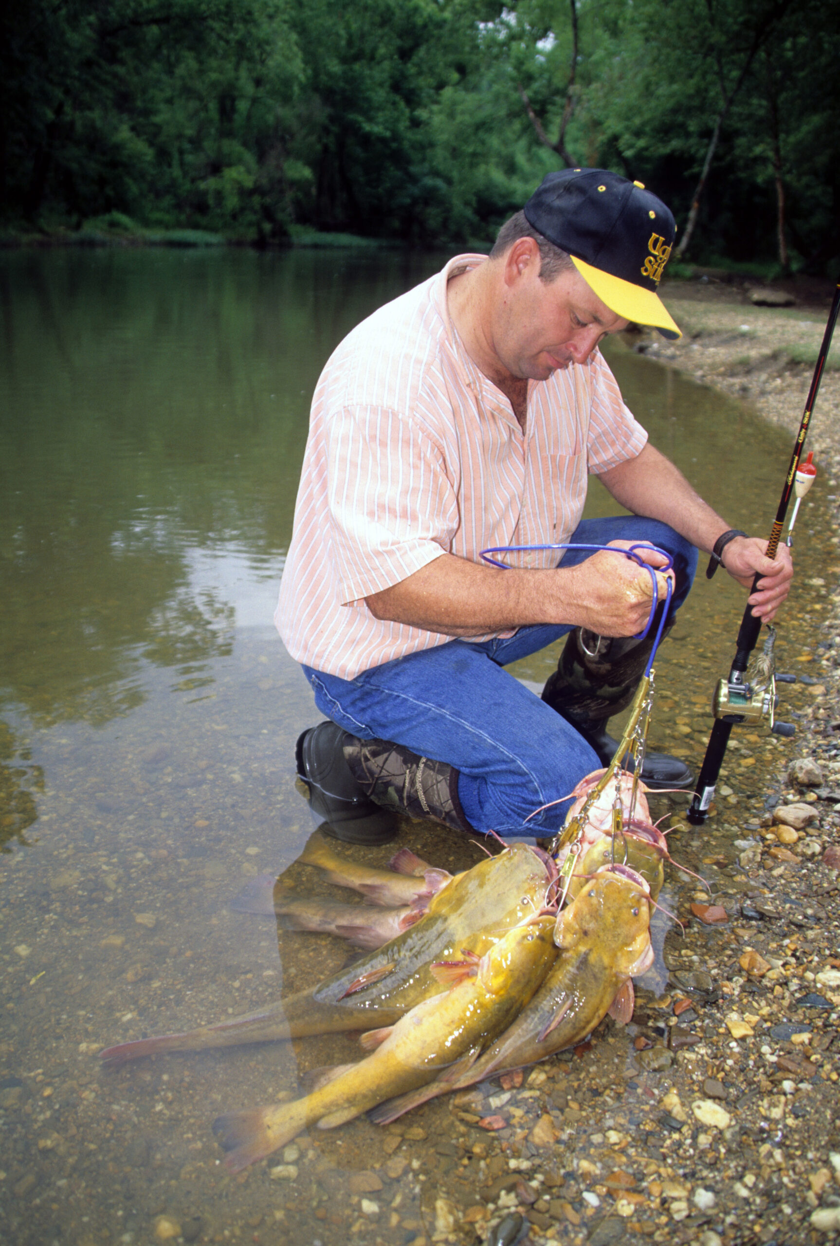 Flathead Catfish 020