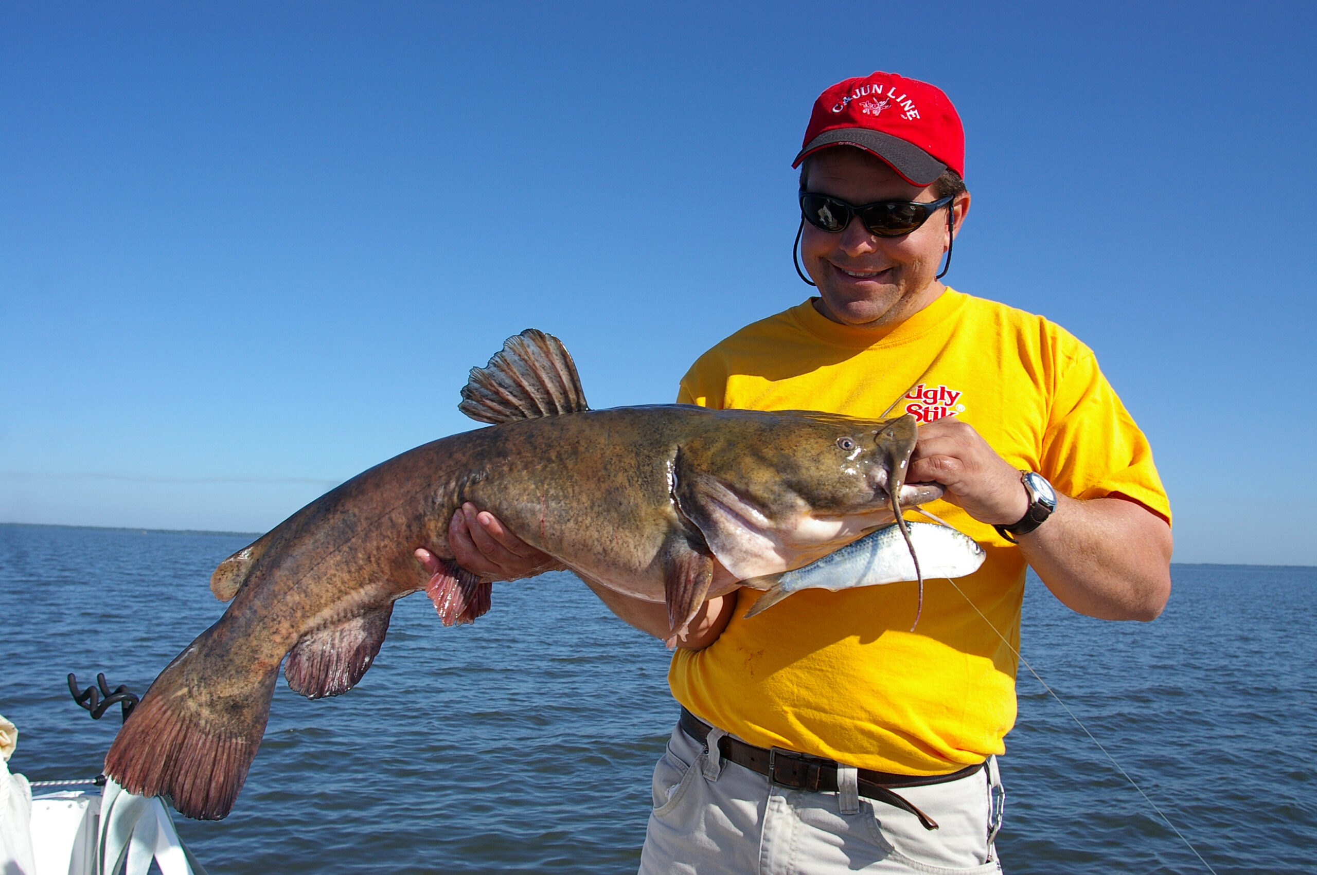 Flathead Catfish 023