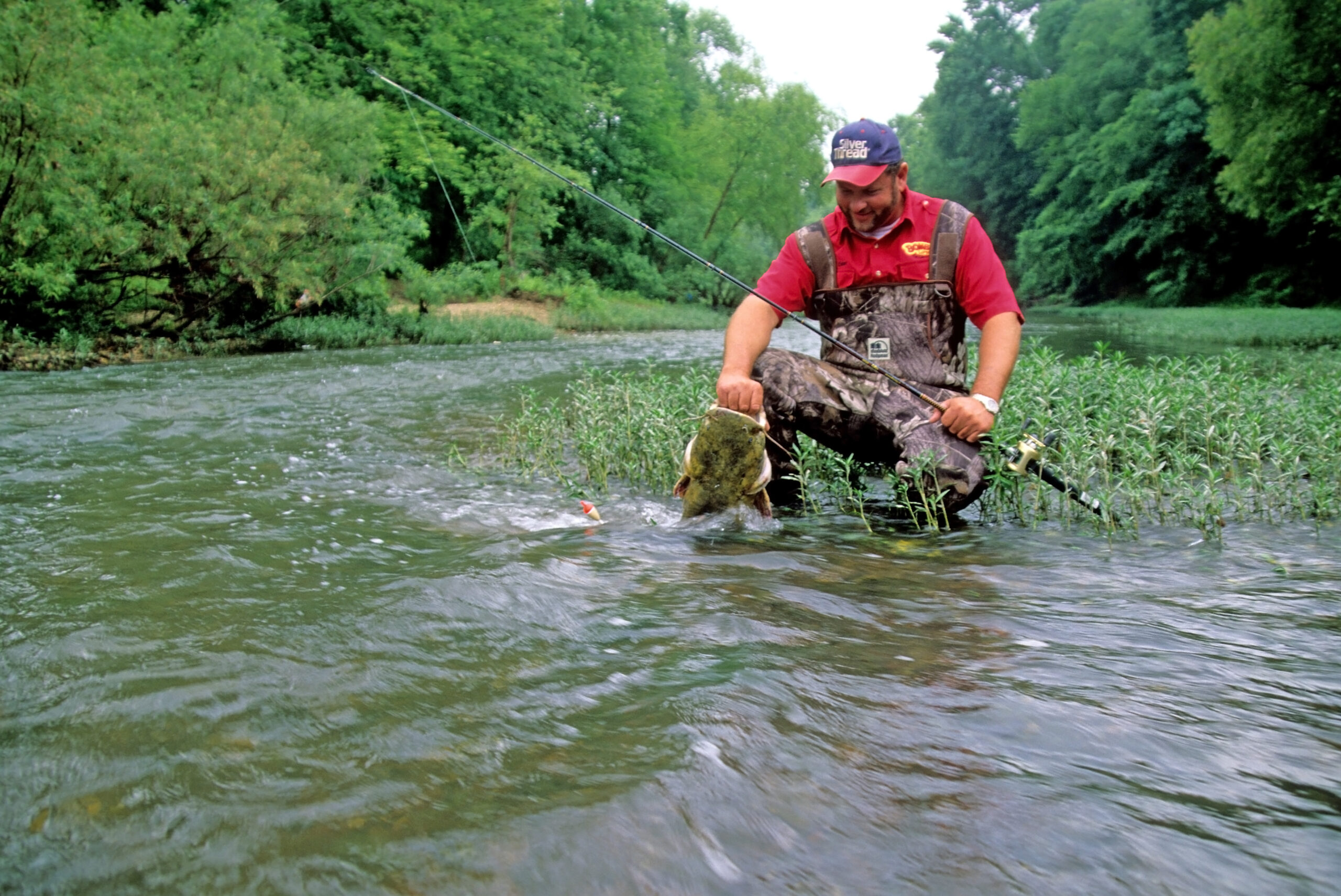 Flathead Catfish 025