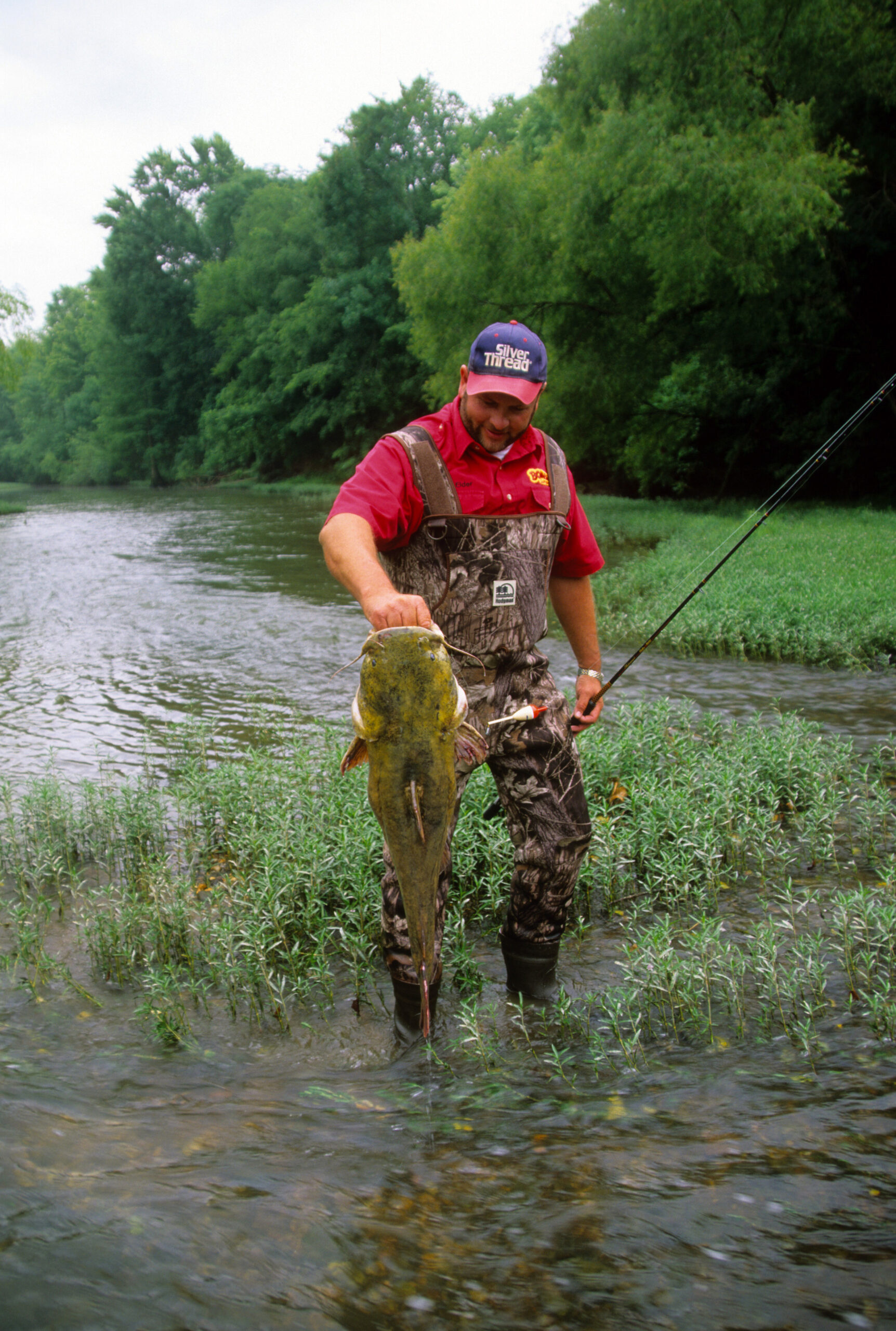 Flathead Catfish 026