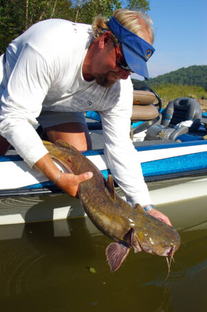 Flathead Catfish 028