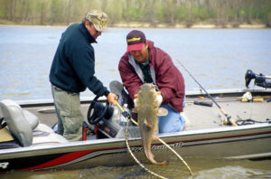 Flathead Catfish 056