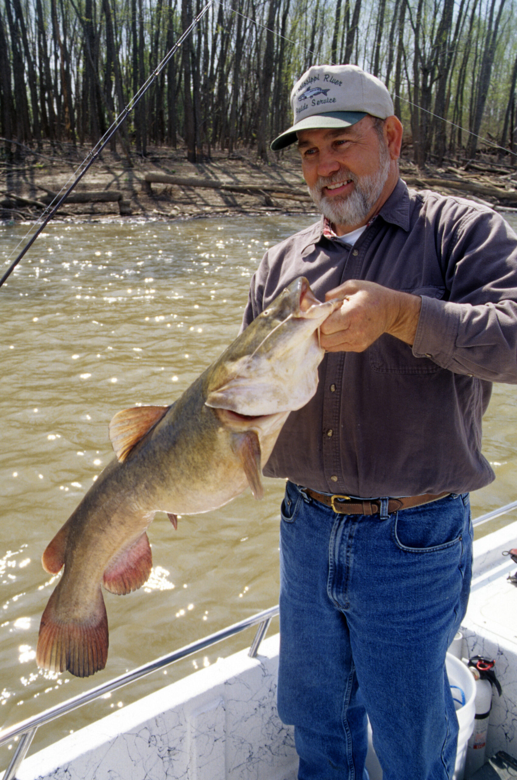 Flathead Catfish 057