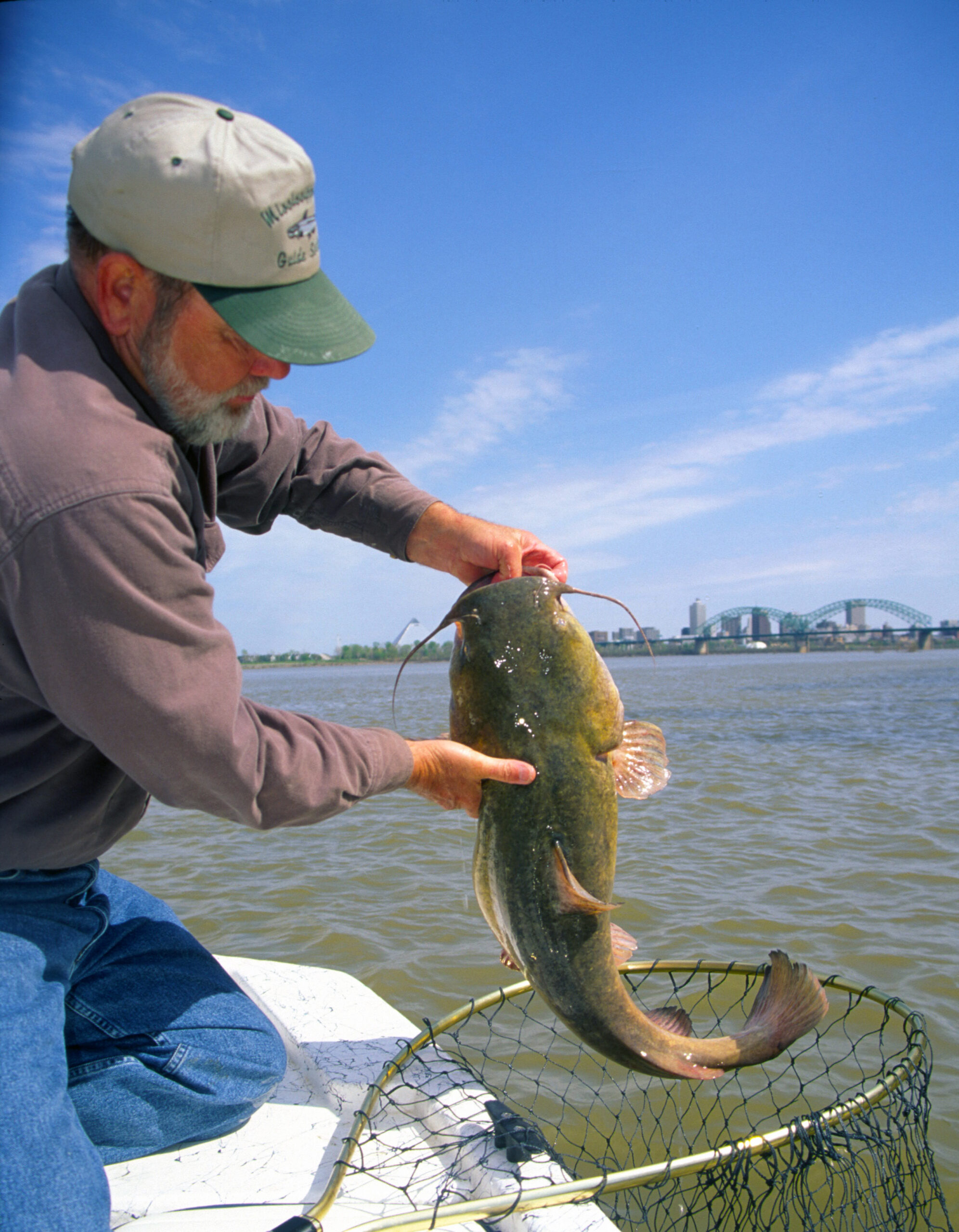 Flathead Catfish 058