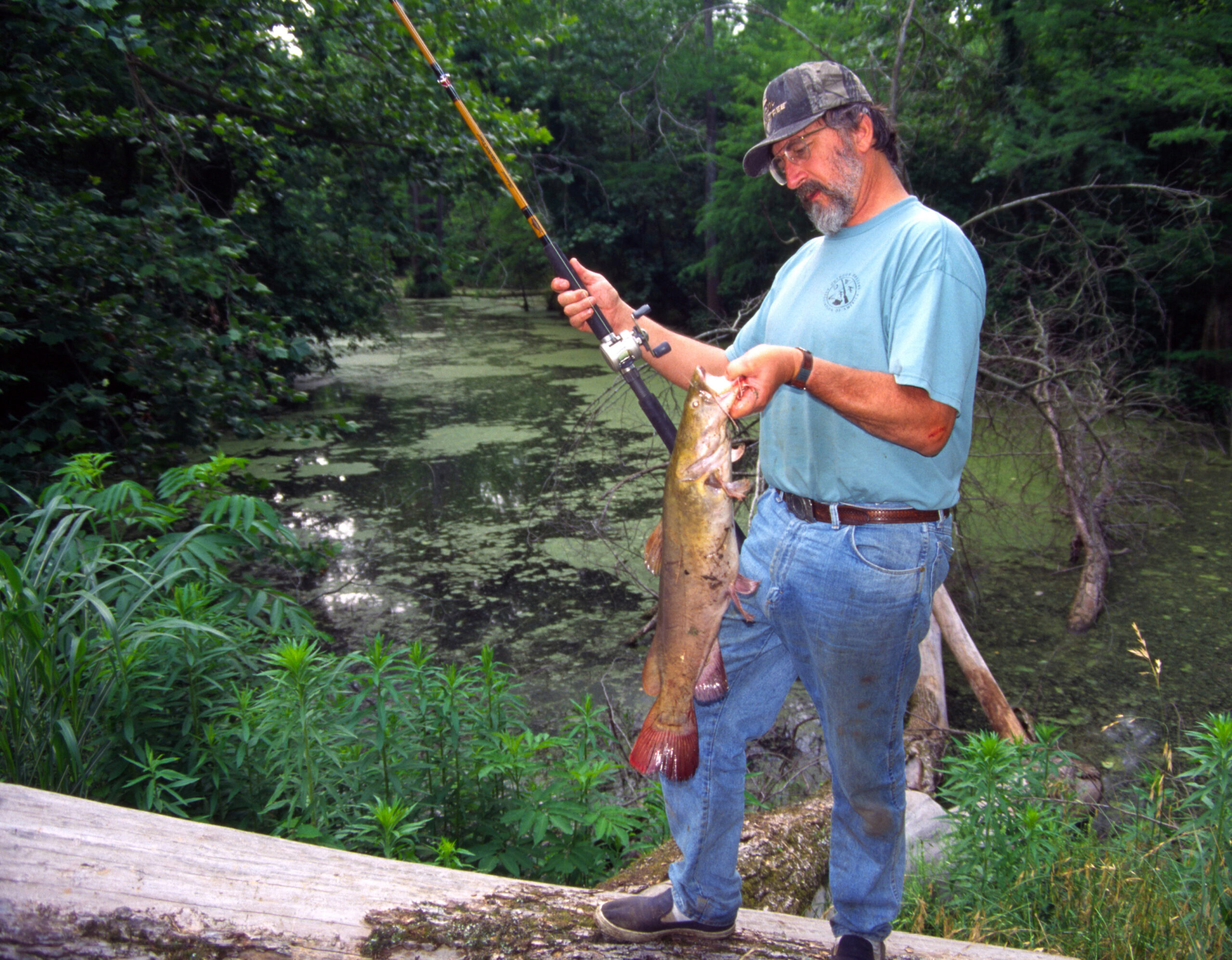 Flathead Catfish 059