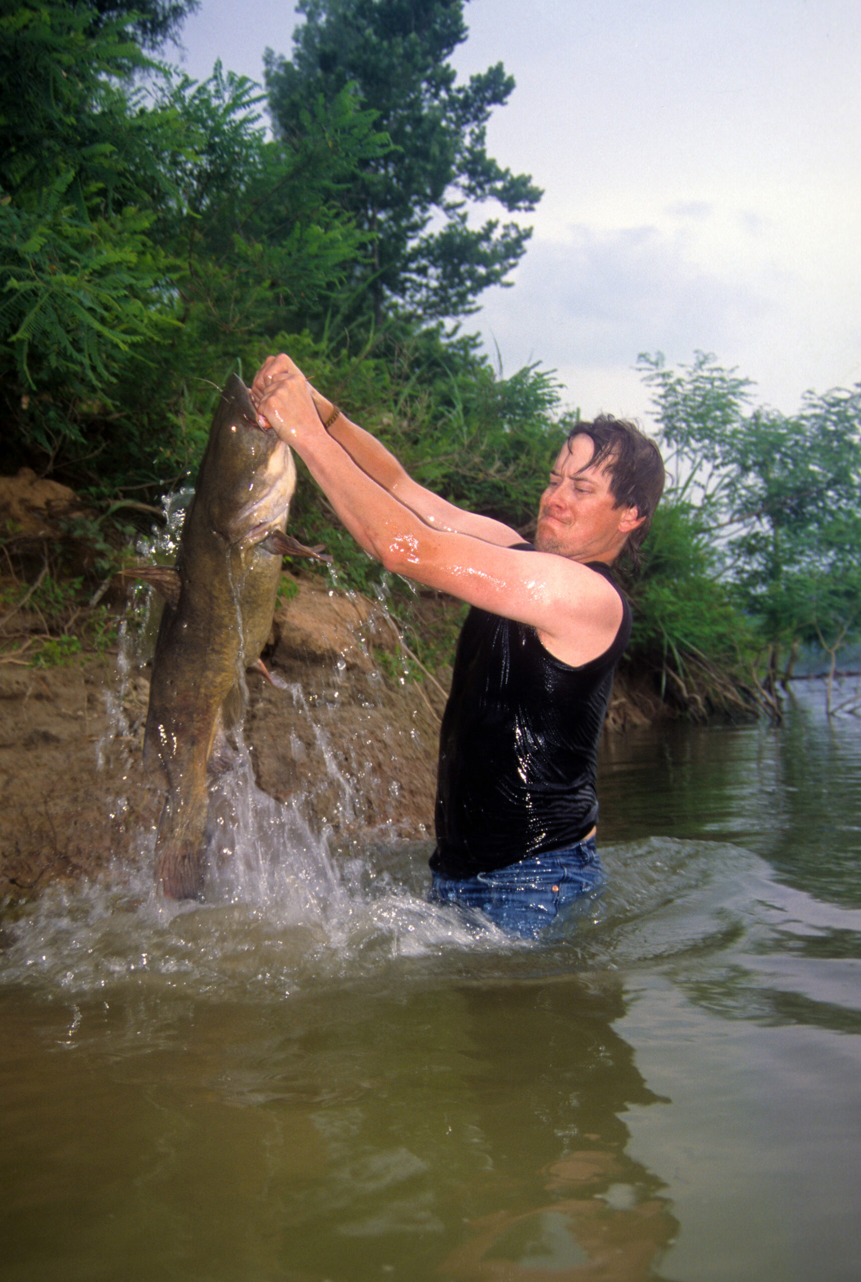 Flathead Catfish 064