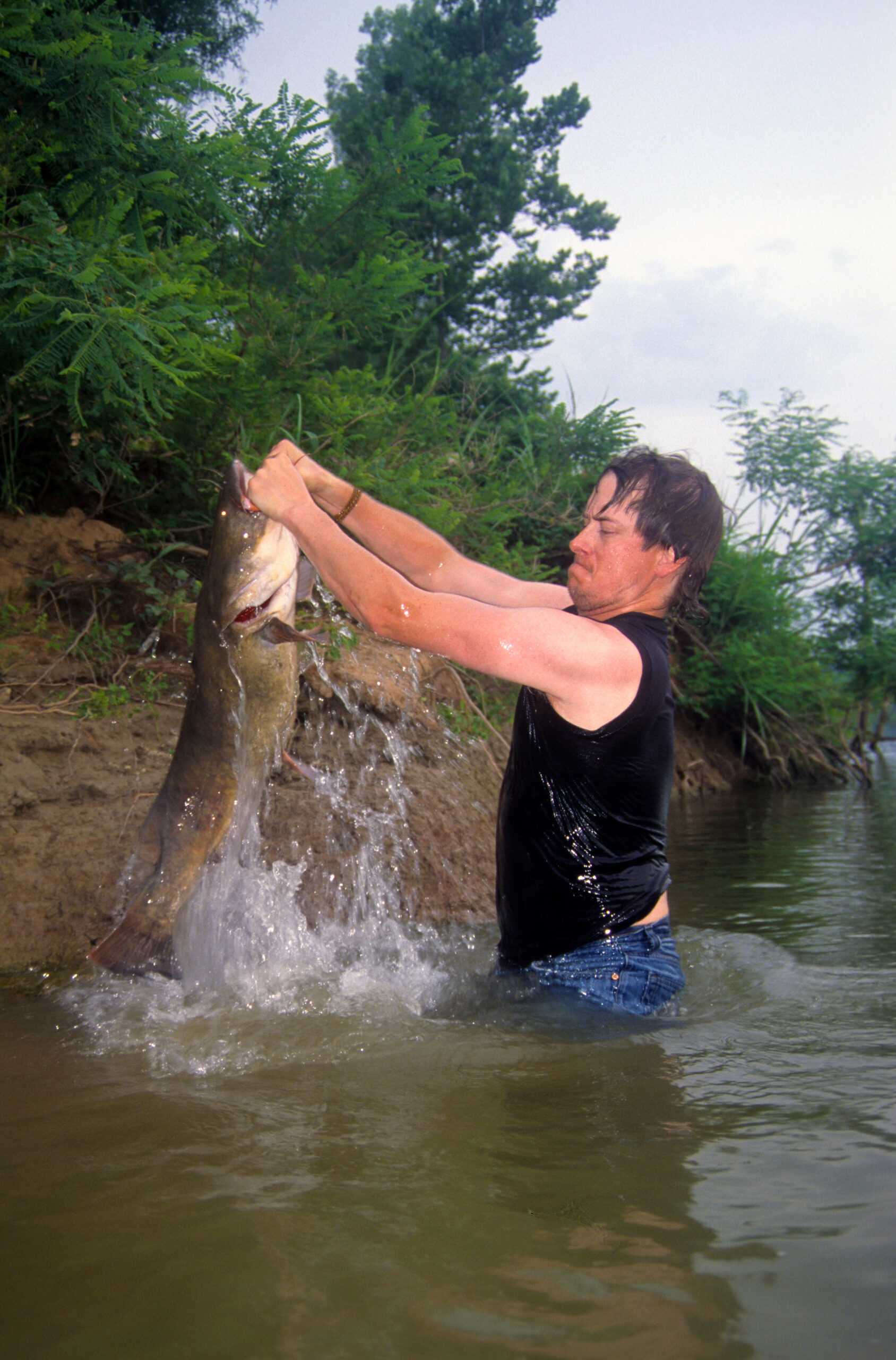 Flathead Catfish 065