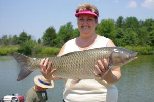 Grass Carp Angler