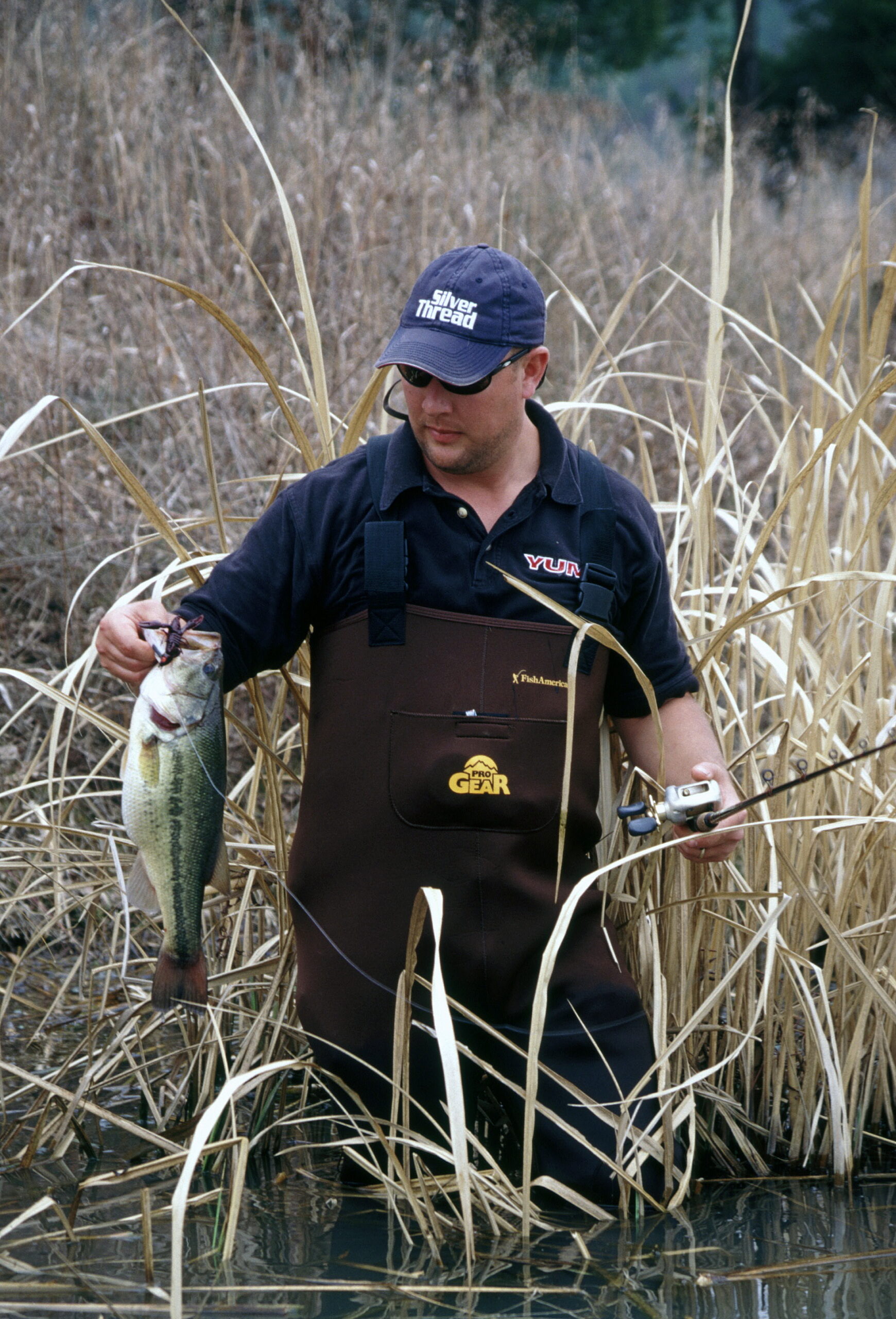 Largemouth Bass 053