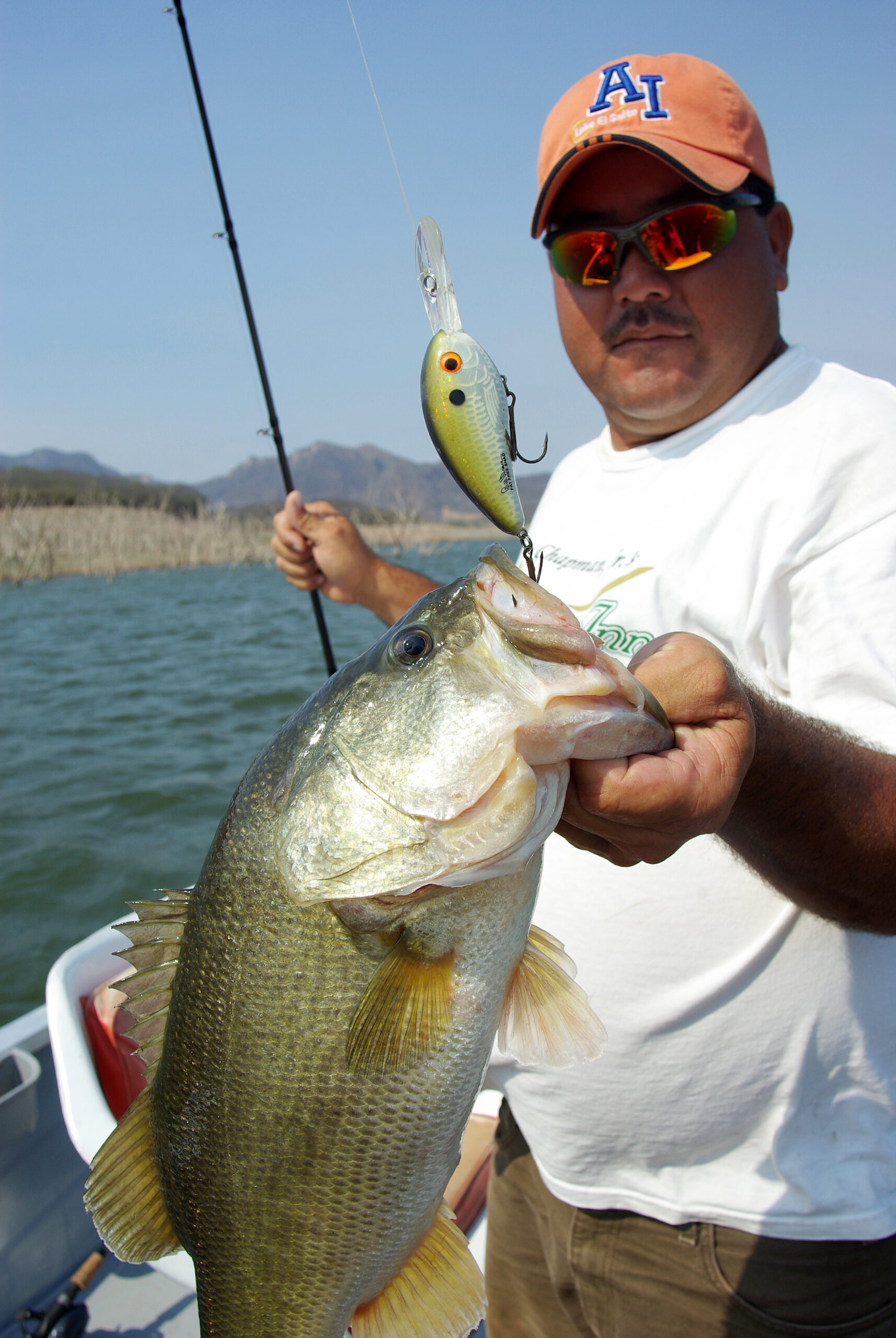 Largemouth Bass 082