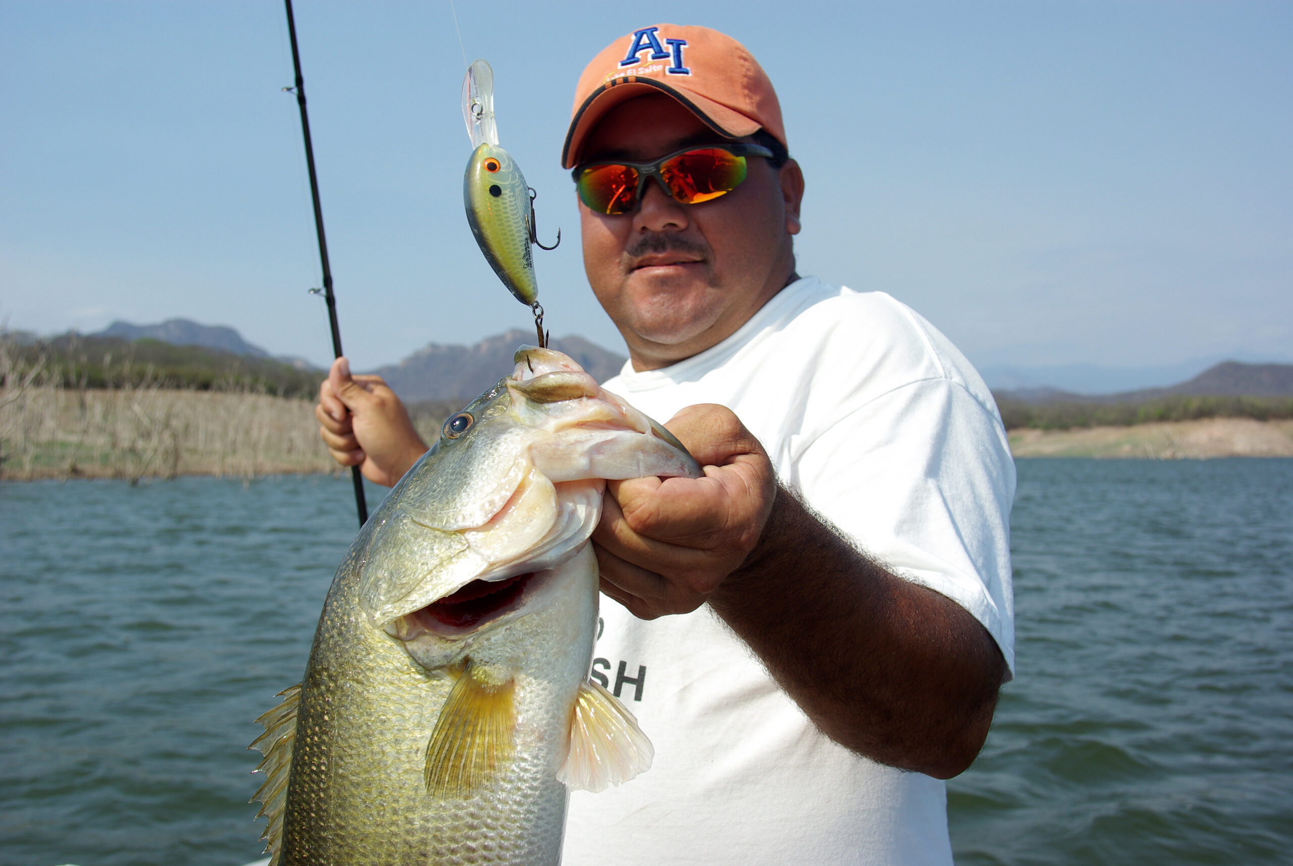 Largemouth Bass 085