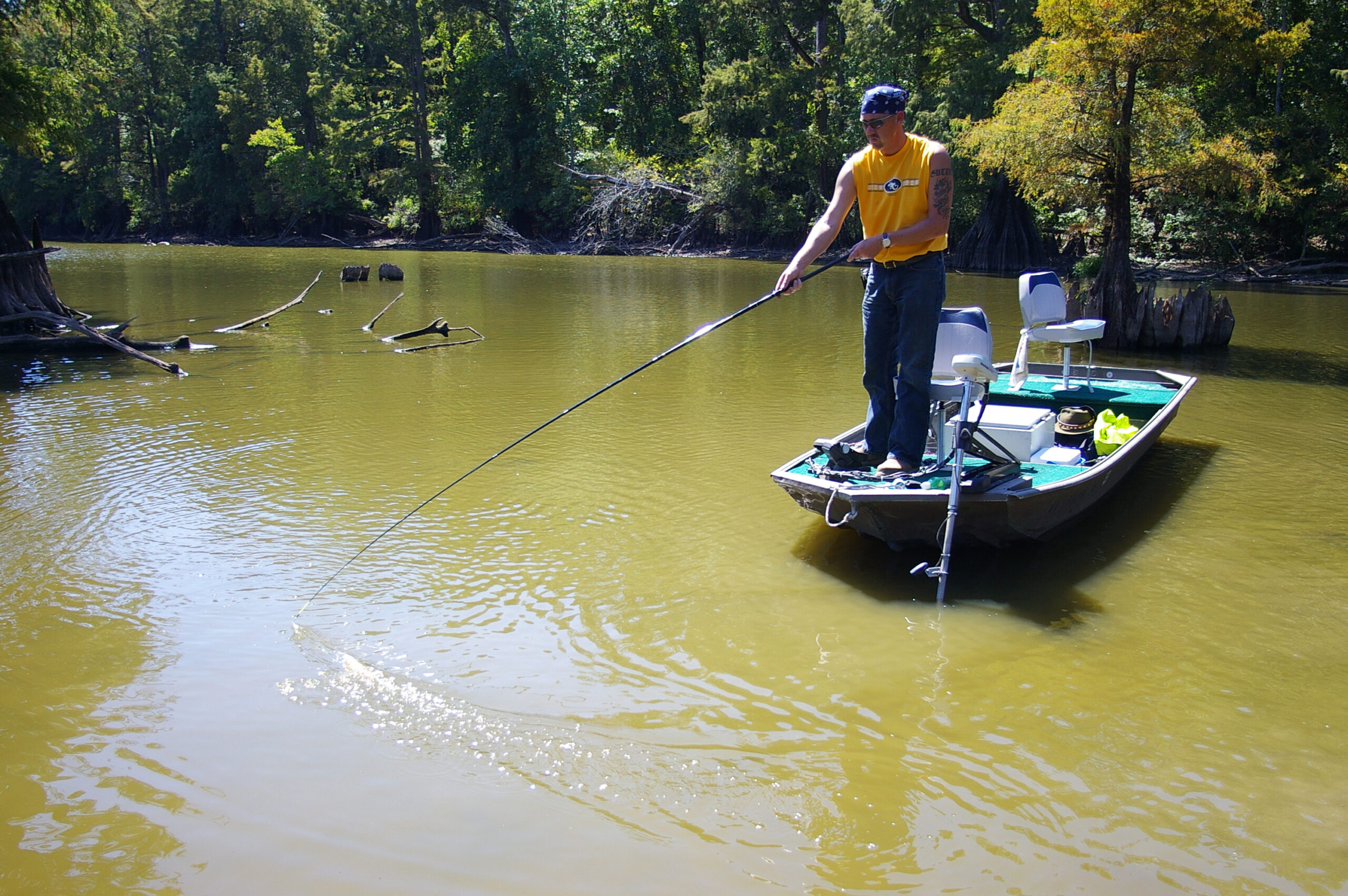 Largemouth Bass 086