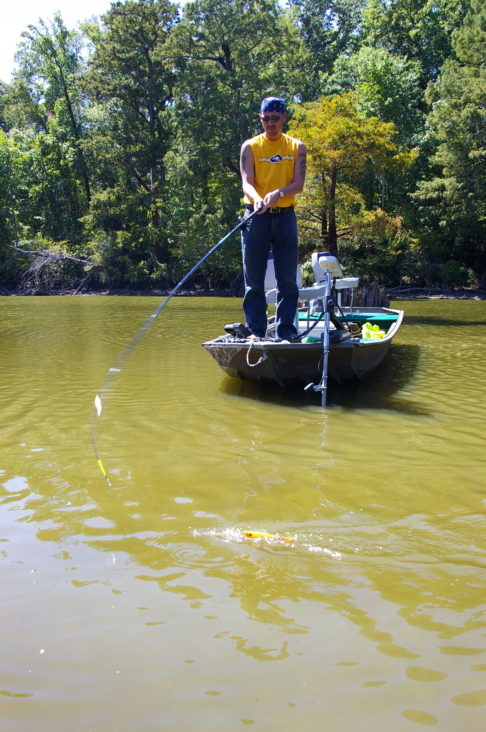 Largemouth Bass 087