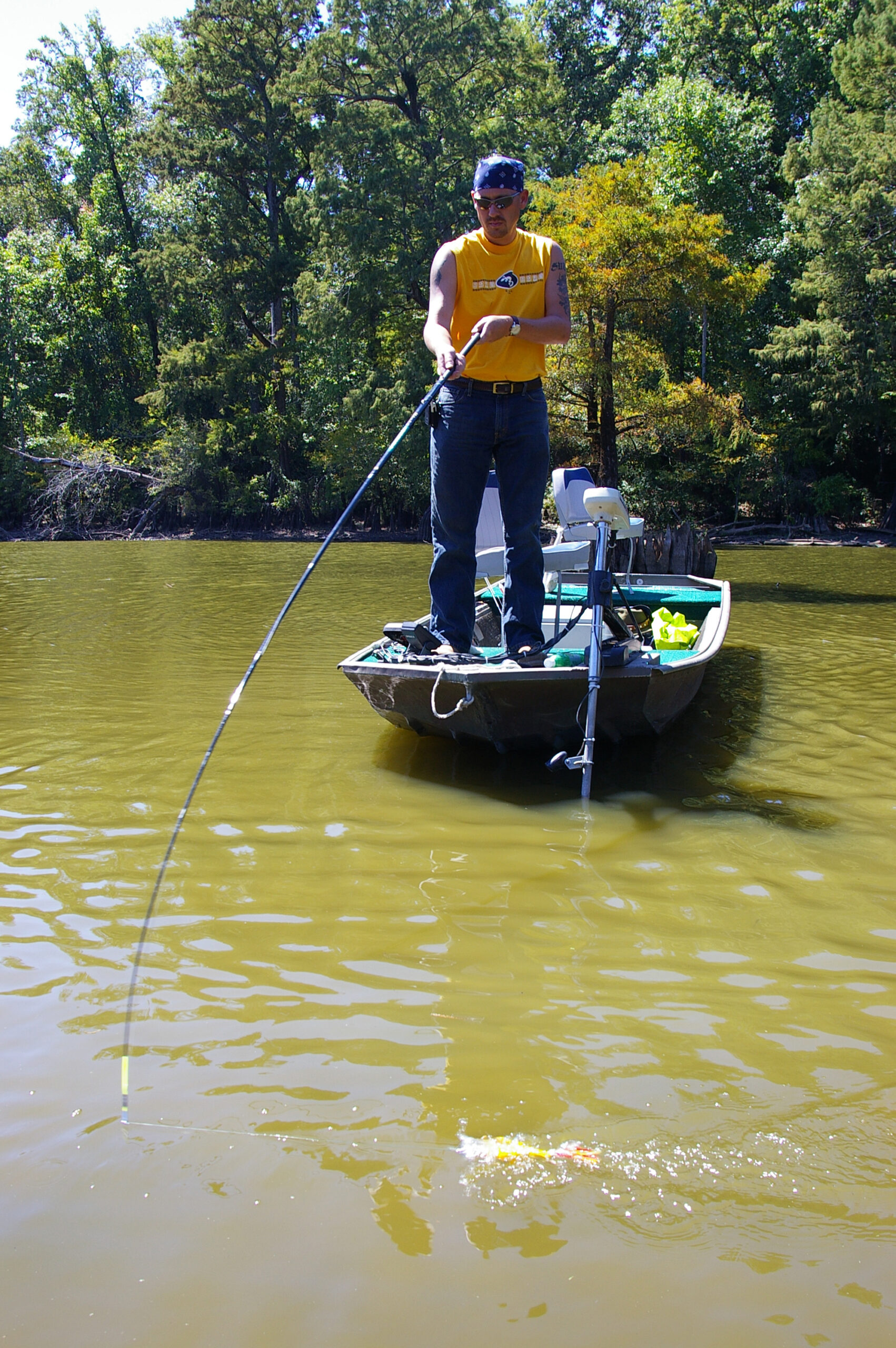 Largemouth Bass 088