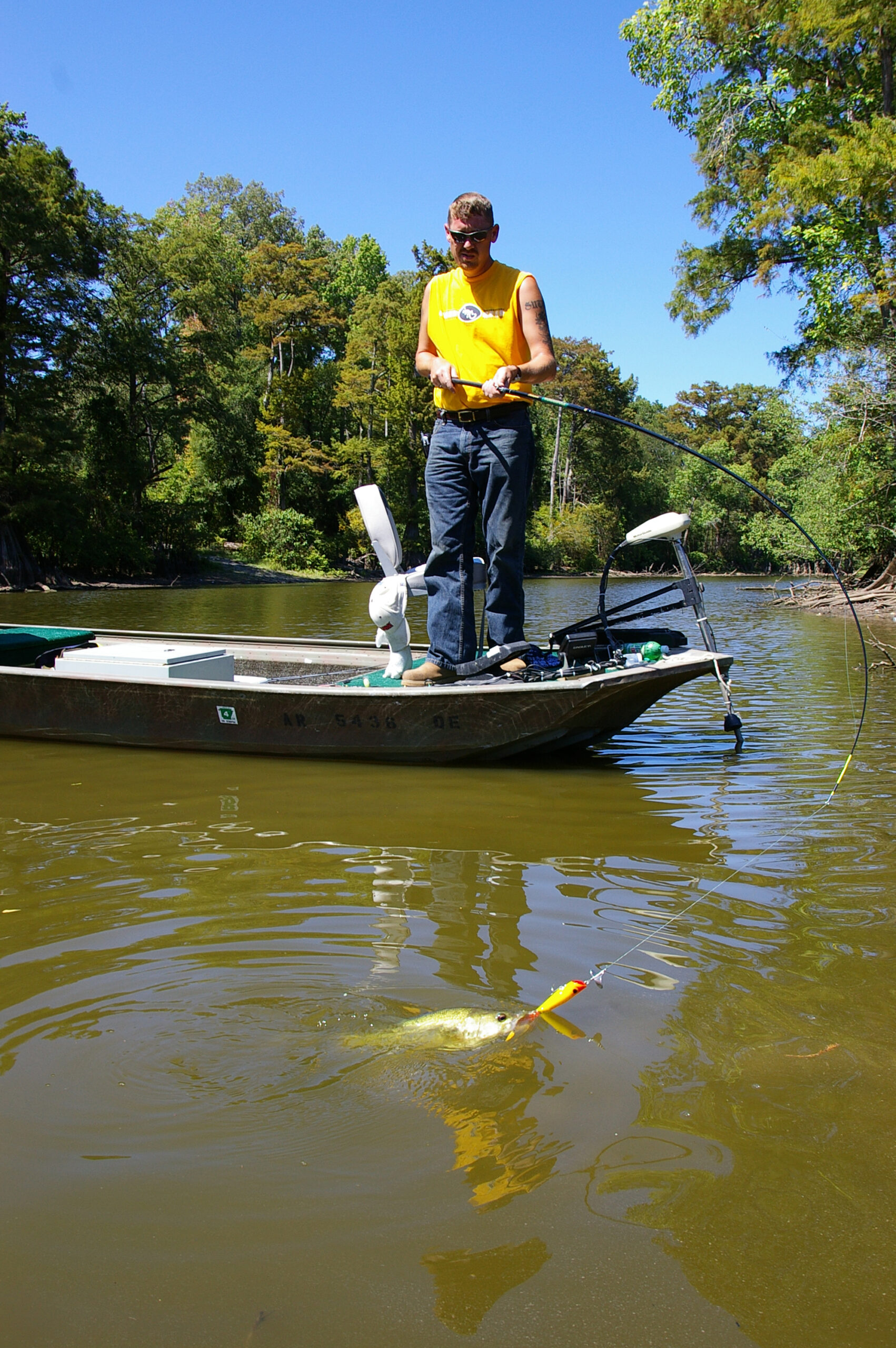 Largemouth Bass 089