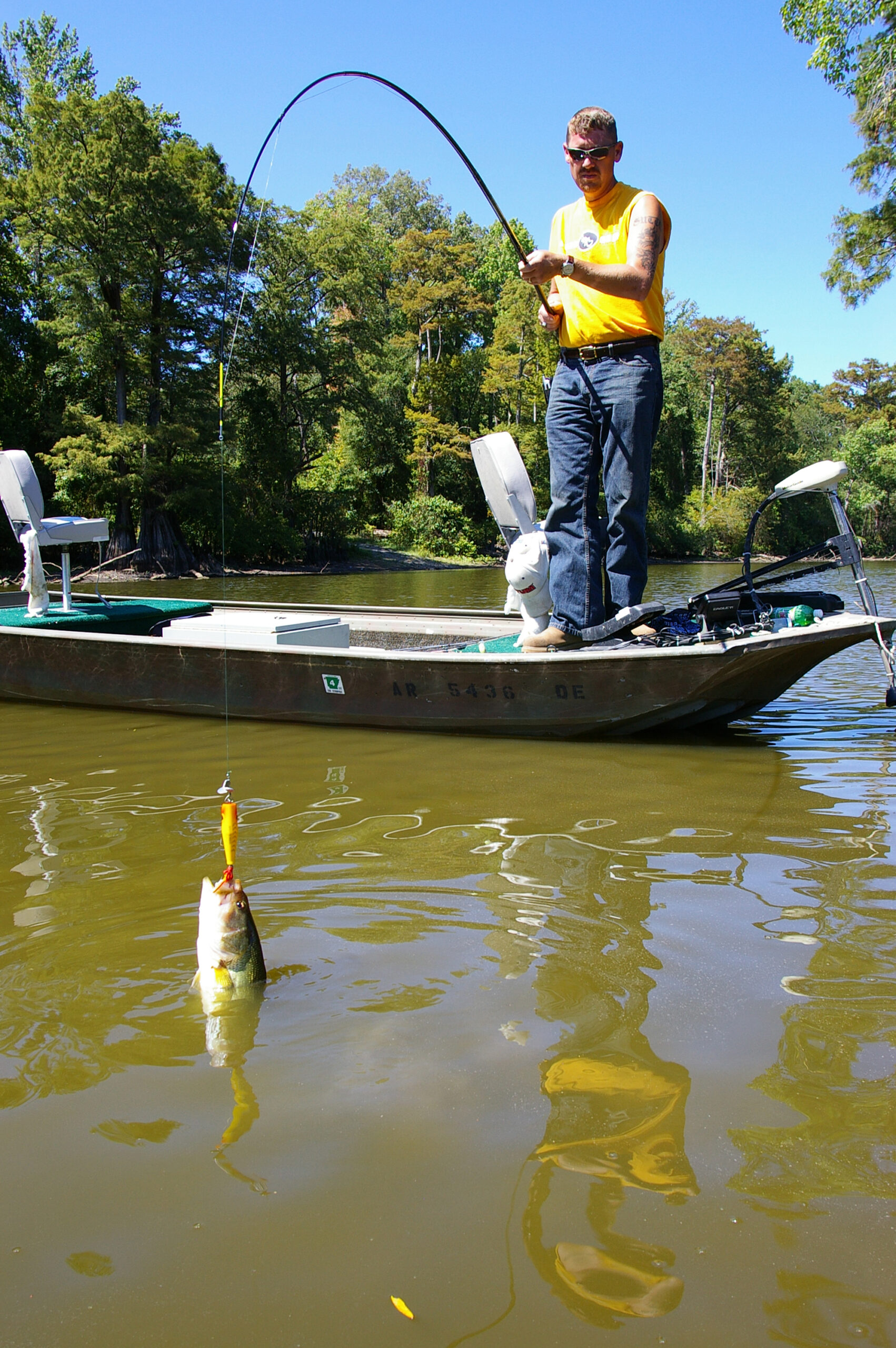 Largemouth Bass 090