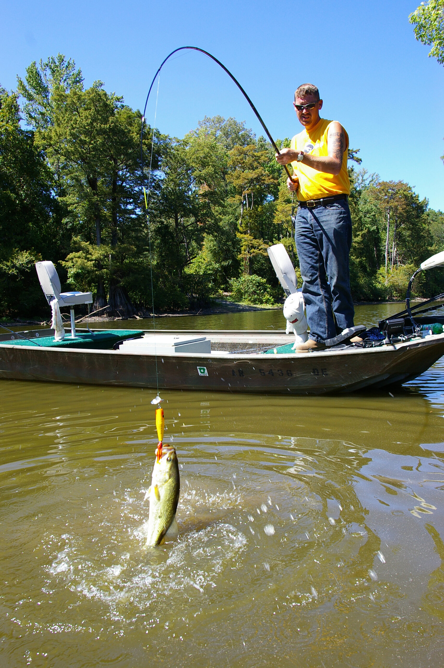 Largemouth Bass 091