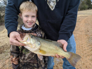 Largemouth Bass 094