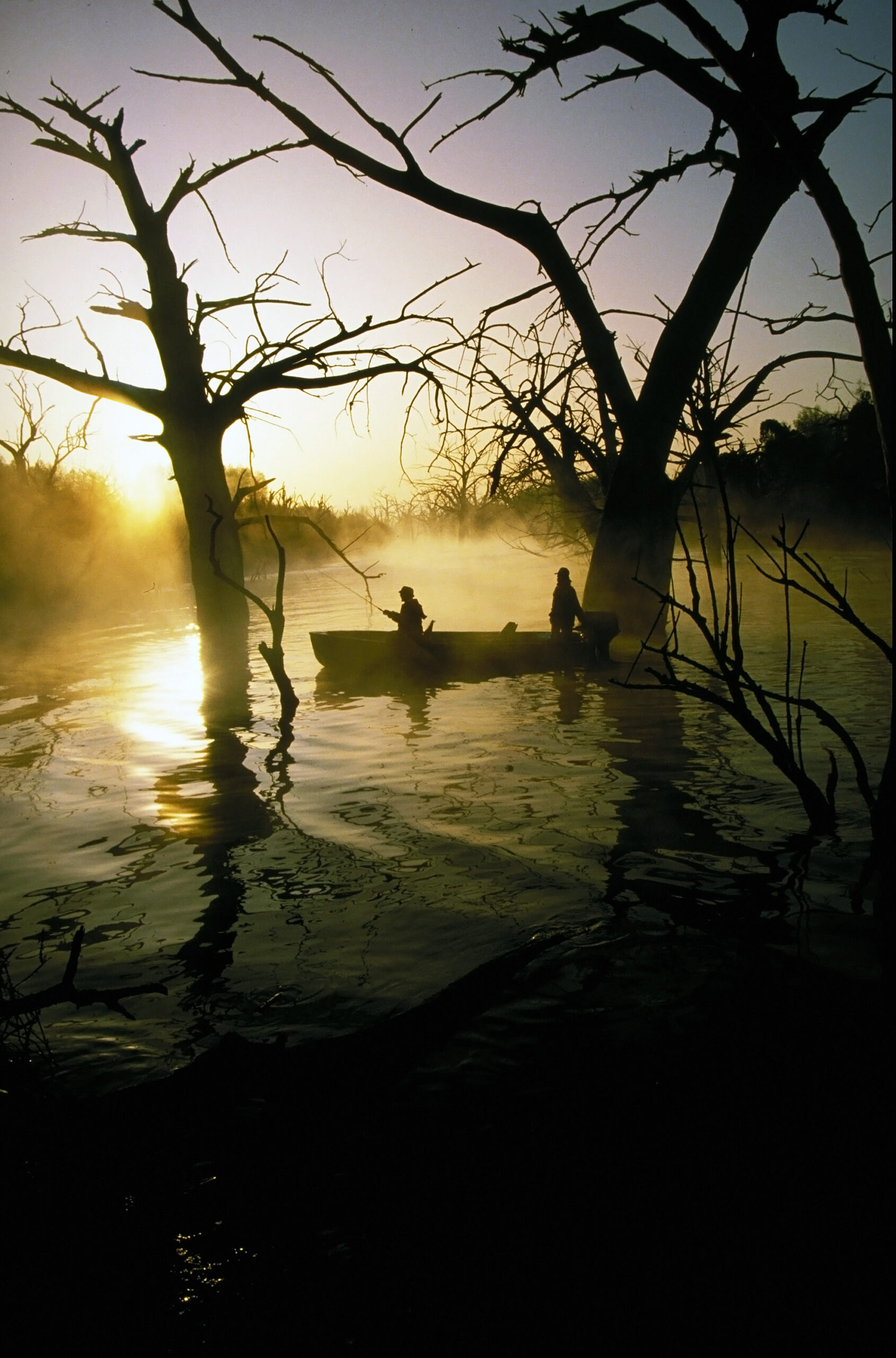 Largemouth Bass 097